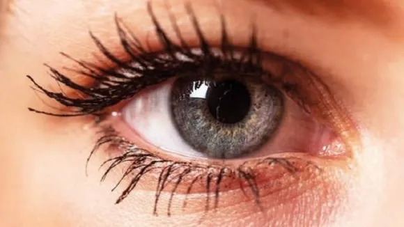 eyes