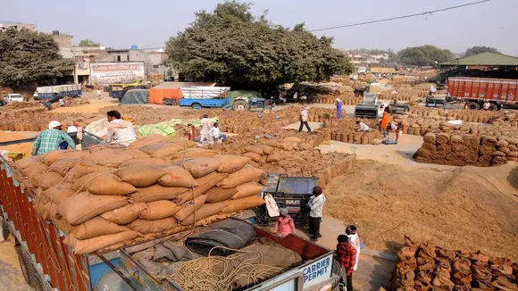 Grain Market