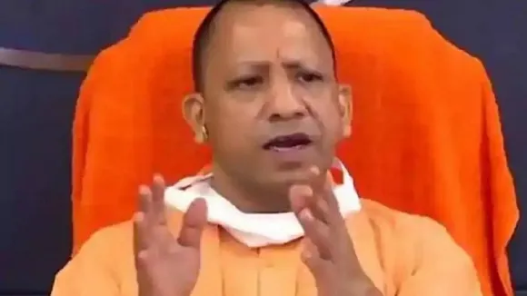 yogi