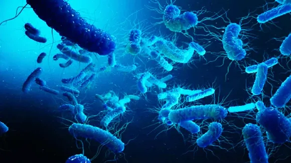 Cholera