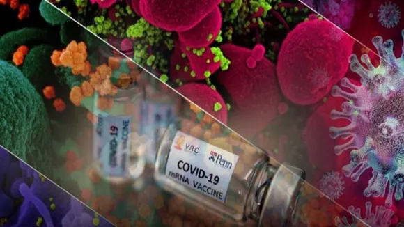 corona virus3 63