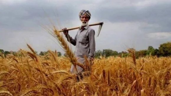 Farm Laws Punjab