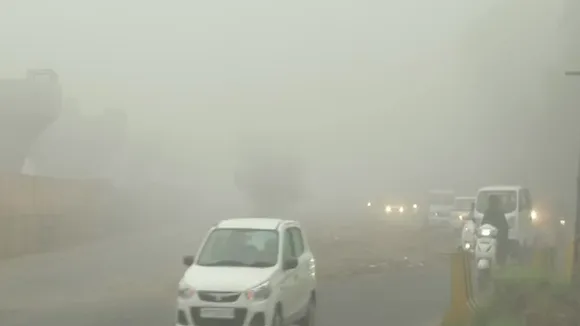 Fog