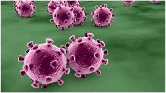 Corona Virus