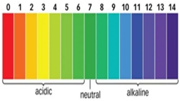 skin ph 5 5