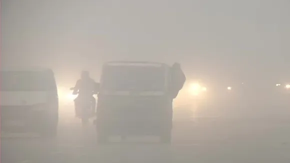 Fog