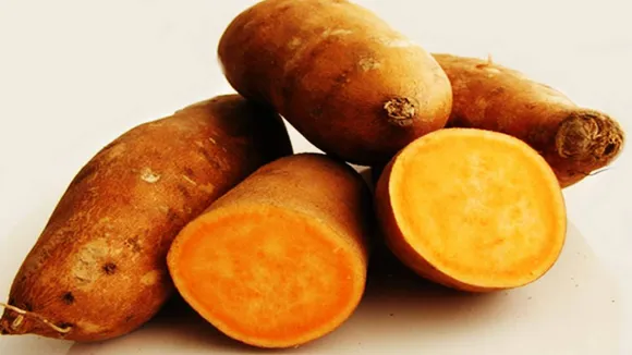 sweet potato