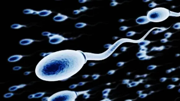 sperms
