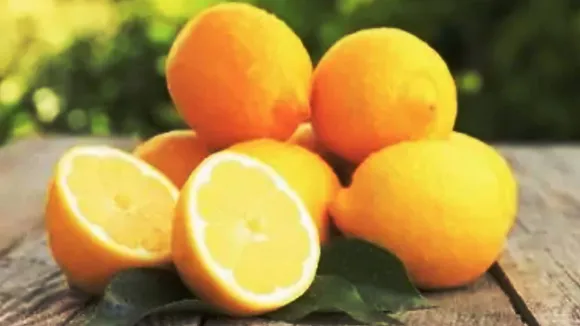 Lemon
