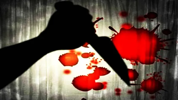 Delhi Dwarka horror killing case