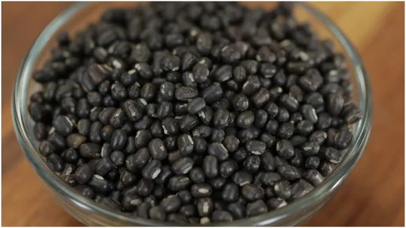 उड़द (Urad)