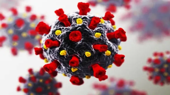 Corona Virus