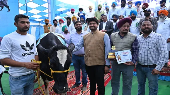 मिल्किंग प्रतियोगिता में Asees की गाय 70.45 KG दूध देकर बनी चैंपियन
