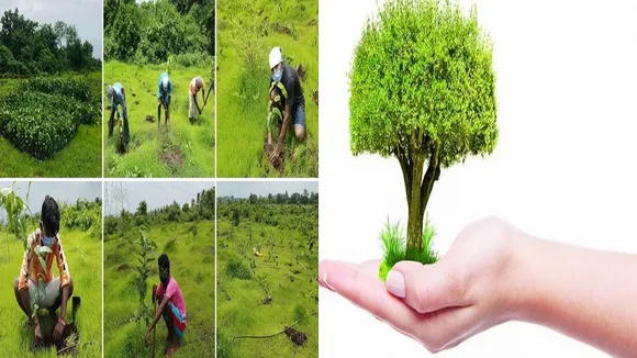 Gift a plant and make the world a better place
