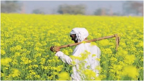 Mustard Latest News