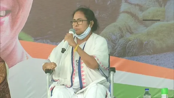 mamta banerjee