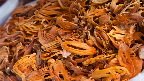Mace Spice