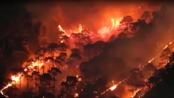 Uttarakhand forest fire