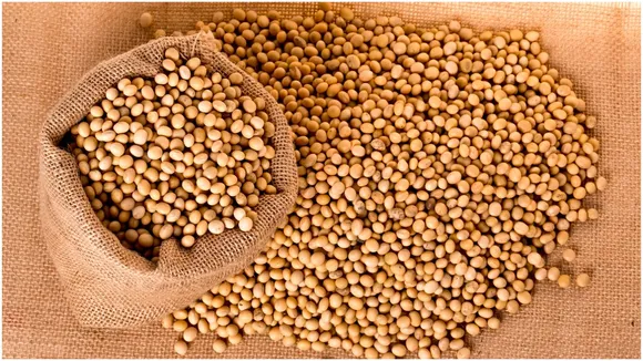 सोयाबीन प्राइस आउटलुक (Soybean Price Outlook)