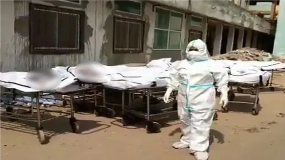 dead bodies
