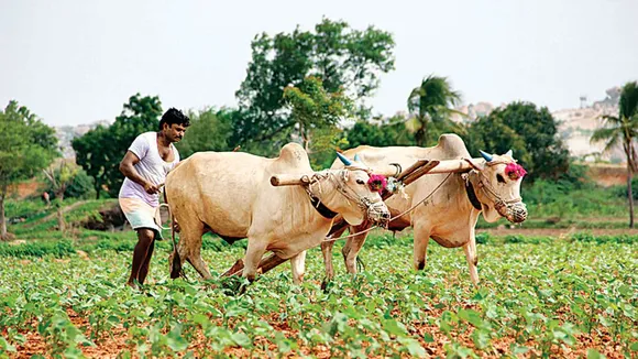 Government Inks Pact With Microsoft To Promote Technology In Agri