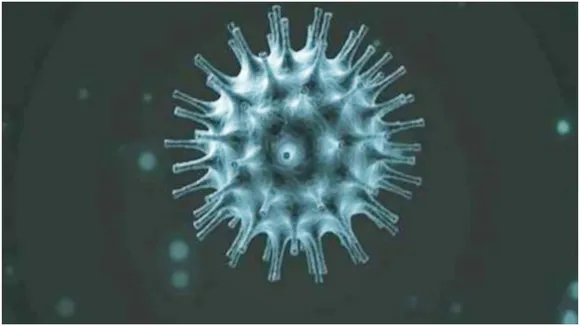 Coronavirus