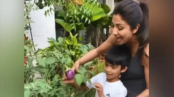 shilpa shetty