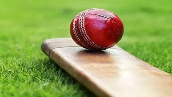 Cricket