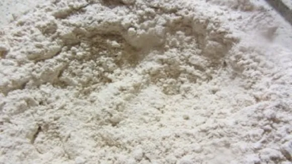 wheat flour