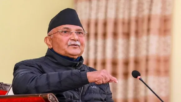 kp oli