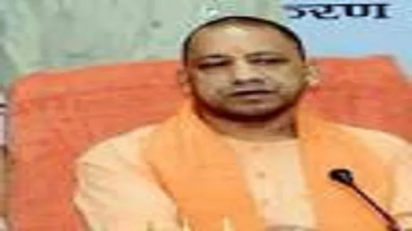 yogi