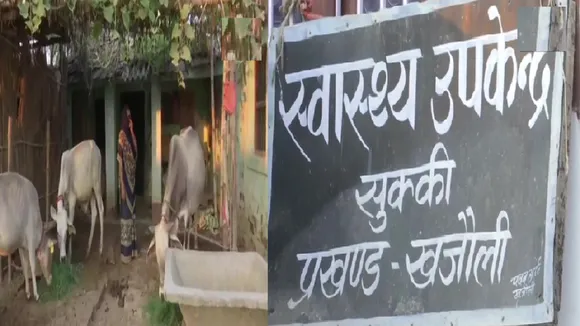 बिहार में स्वास्थ्य उपकेंद्र में चल रहा गोशाला