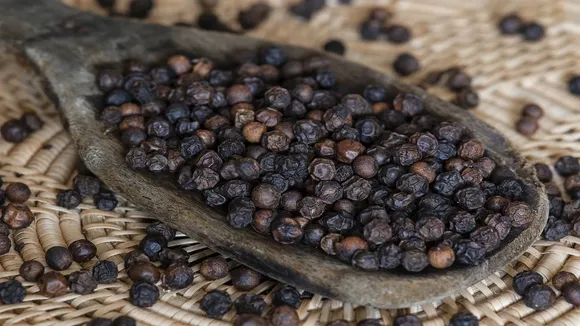Black Pepper