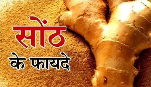 Dry Ginger