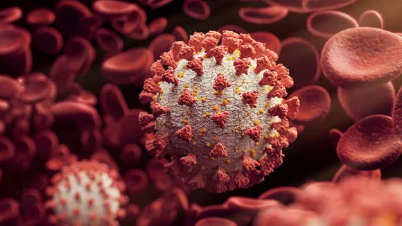 Coronavirus (Covid-19)