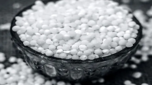 Sago Sabudana