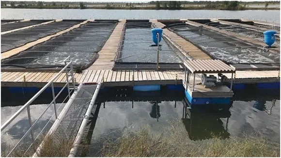 Floating Raceway Technology