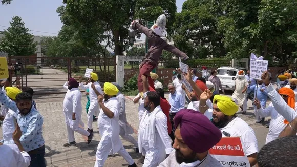 Punjab Aap