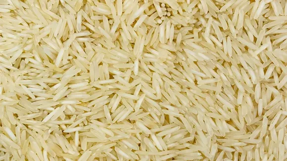 Basmati Rice
