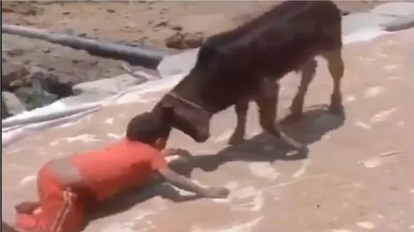 viral video