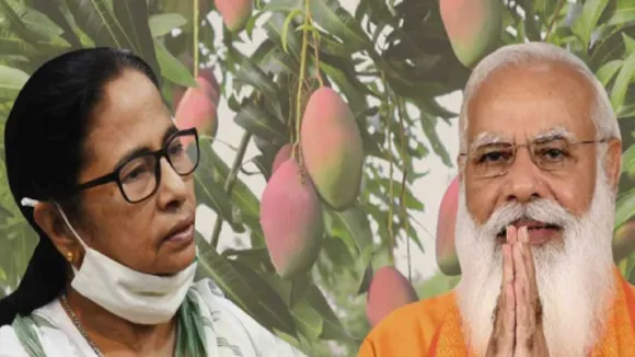 Mamata Modi Mango