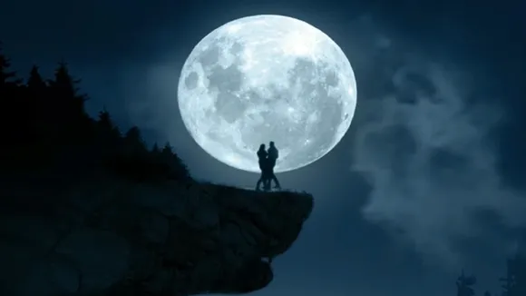 Bhediya Movie