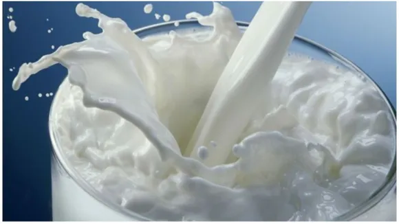 दूध (Milk)