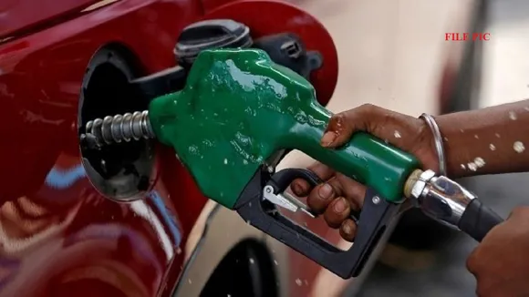 petrol and diesel