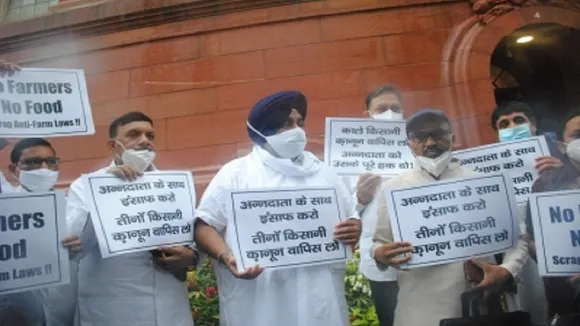 sad protest in parliament