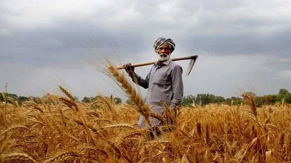 Kisan
