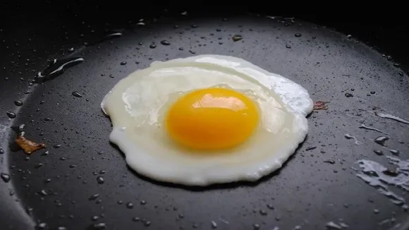 egg