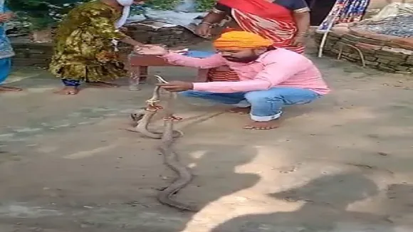 sagar