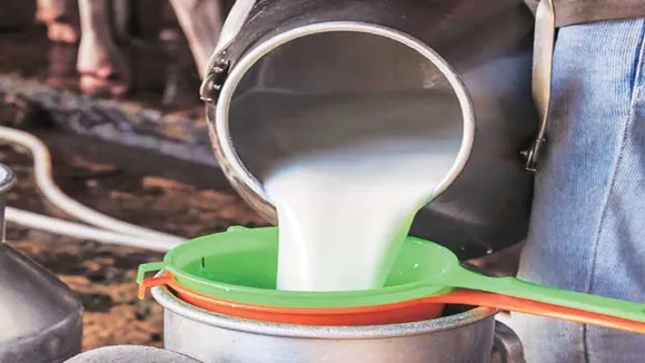 Milk