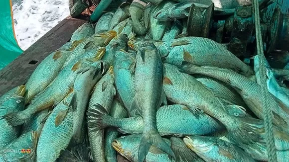 fisherman111